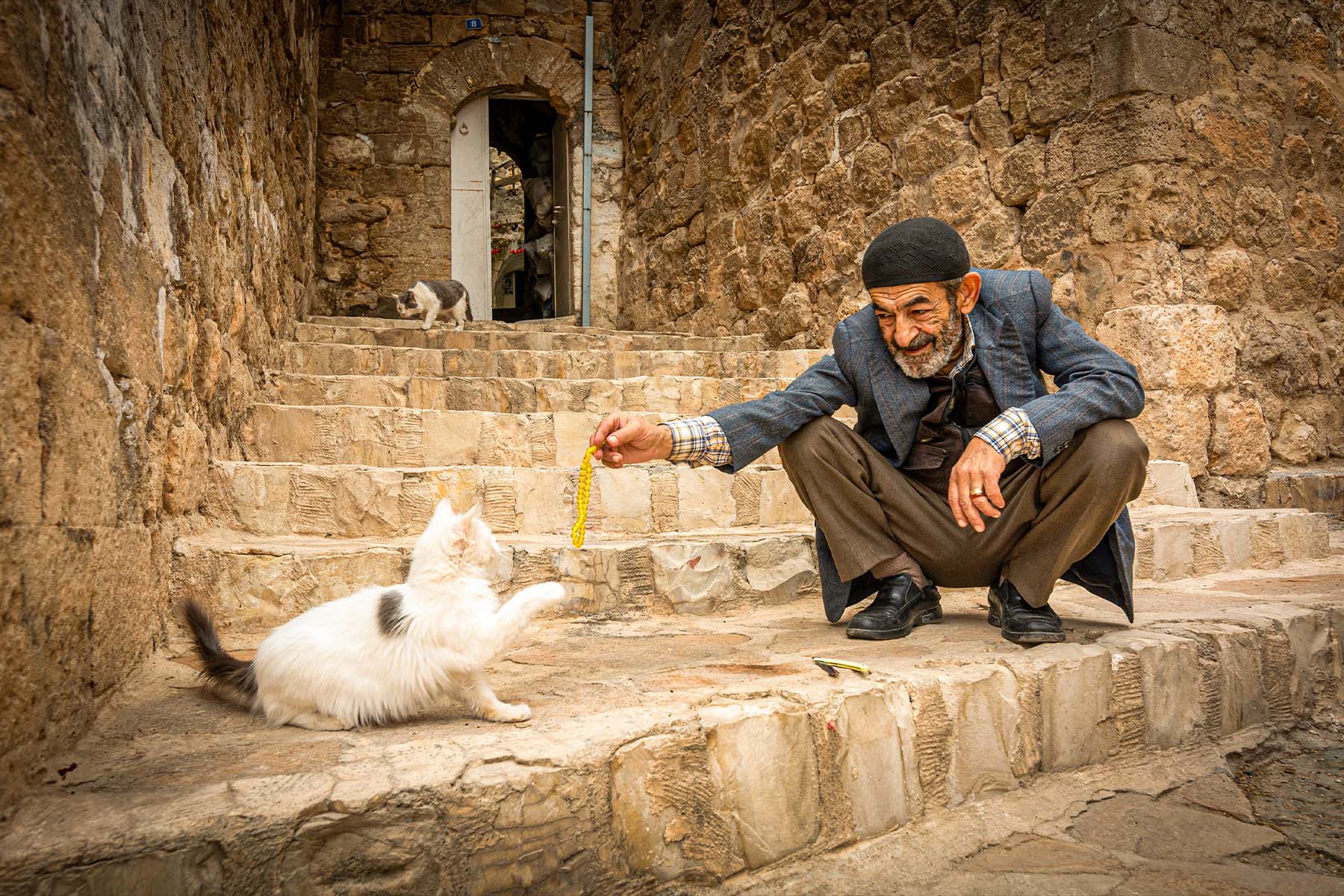 Doğuş AKKAYA