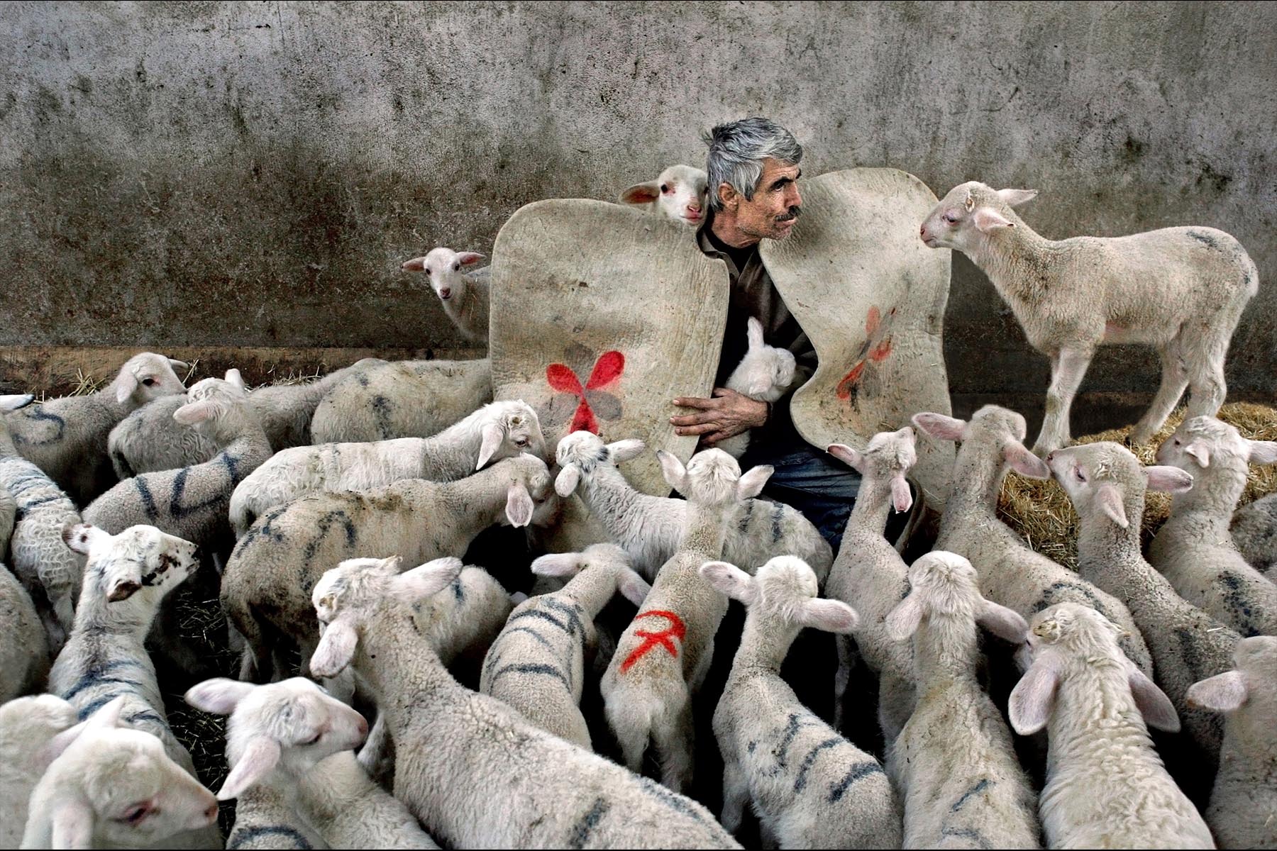 Gökalp BİLİCİ