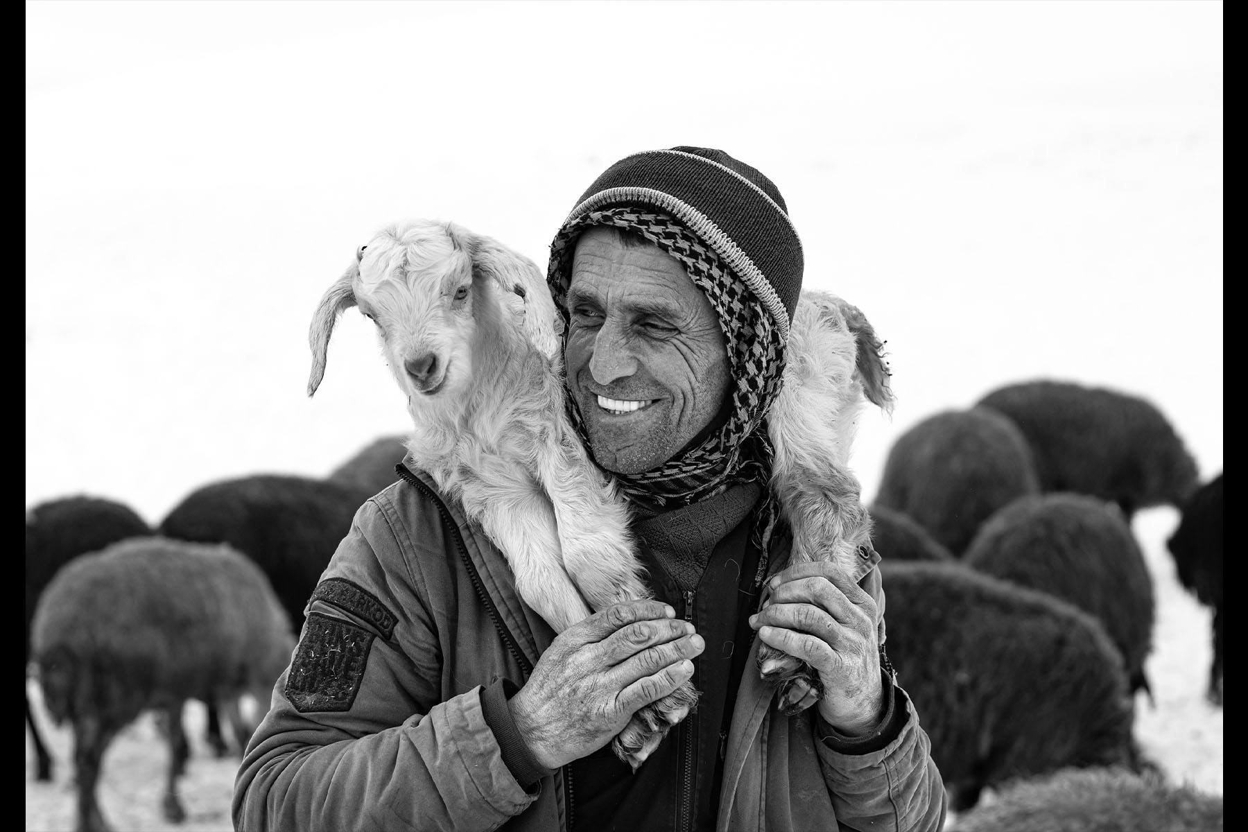 Yakup SAYAK