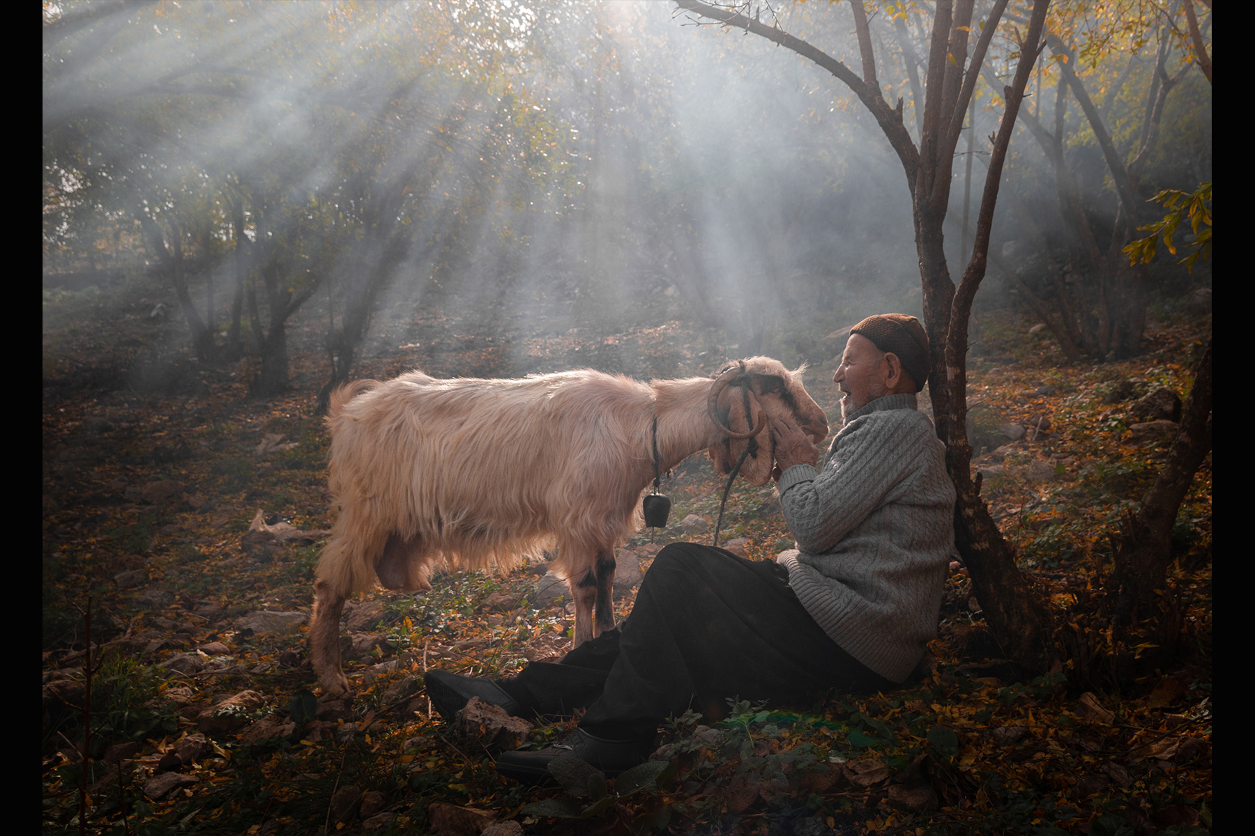 Ahmet ASLAN