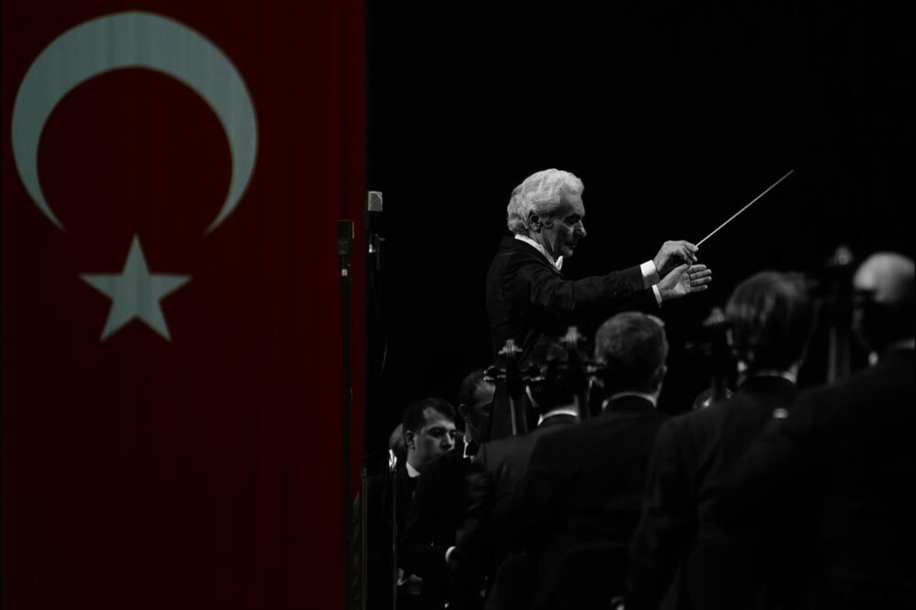 Ali GÜLERYÜZ
