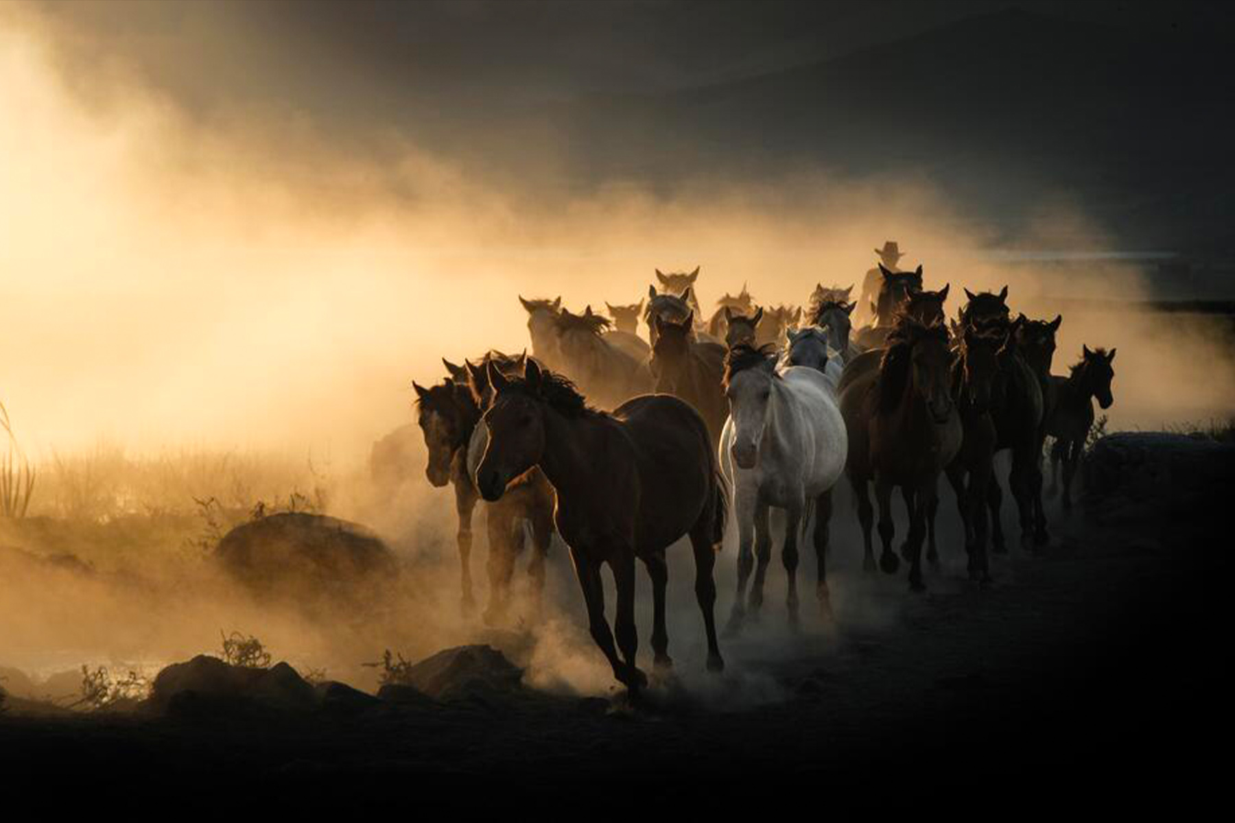 Aynur BOSTAN