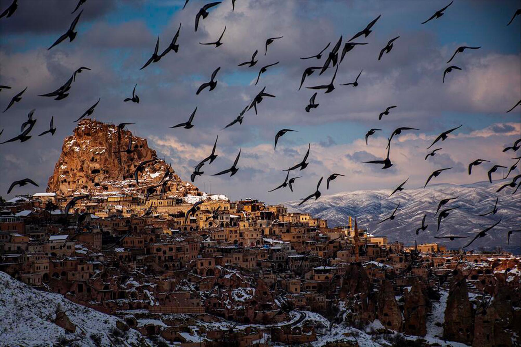 Canan ALDIRMAZ AĞARTAN