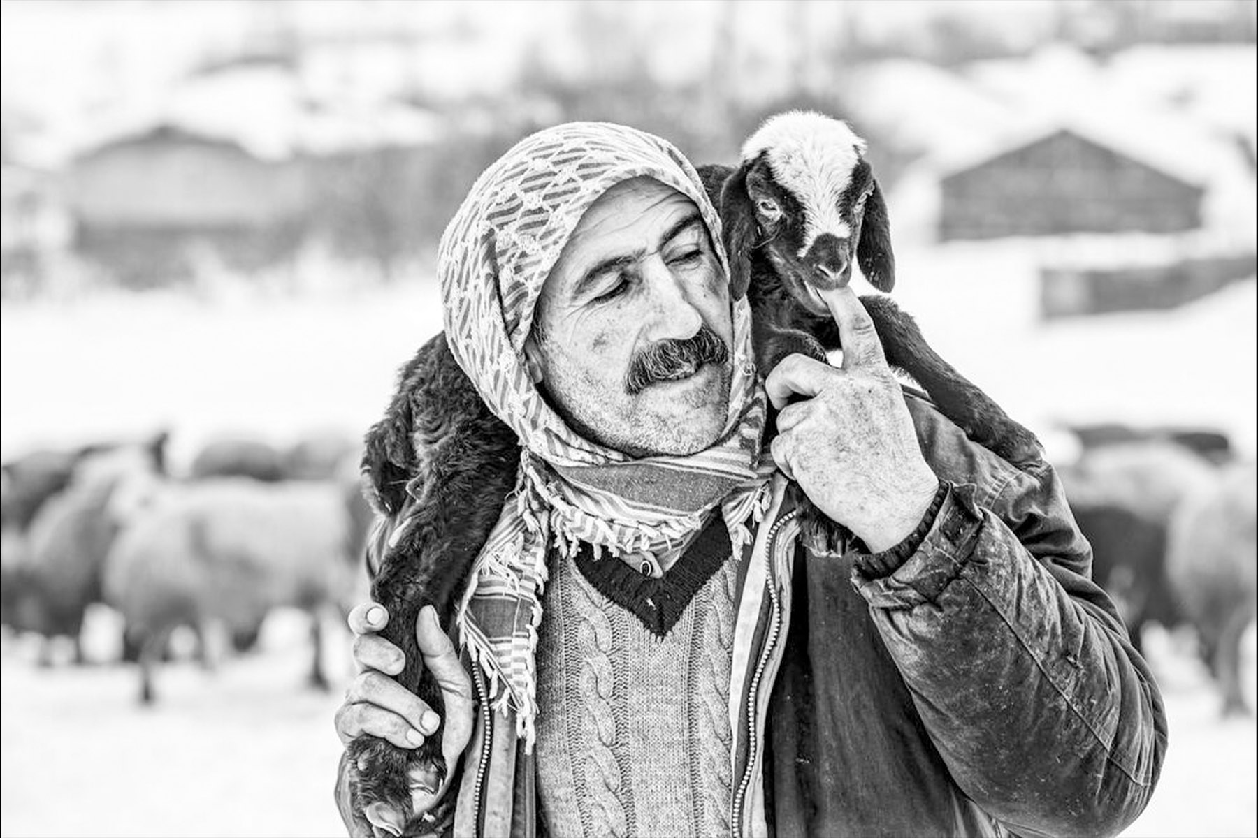 Kadir TEZEL