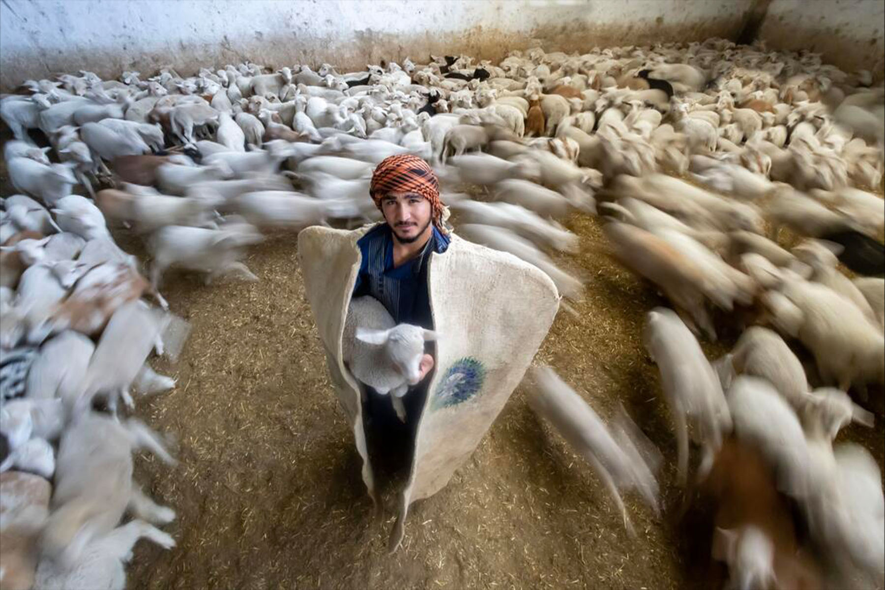 Muhammet AKAR